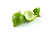 Macadamia Nut