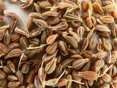 Aniseed (Pimpinella anisum) 10ml